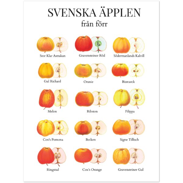 Svenska äpplen affisch