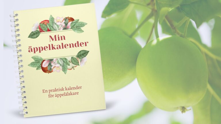 Min äppelkalender – Din guide till äpplets värld, året runt!